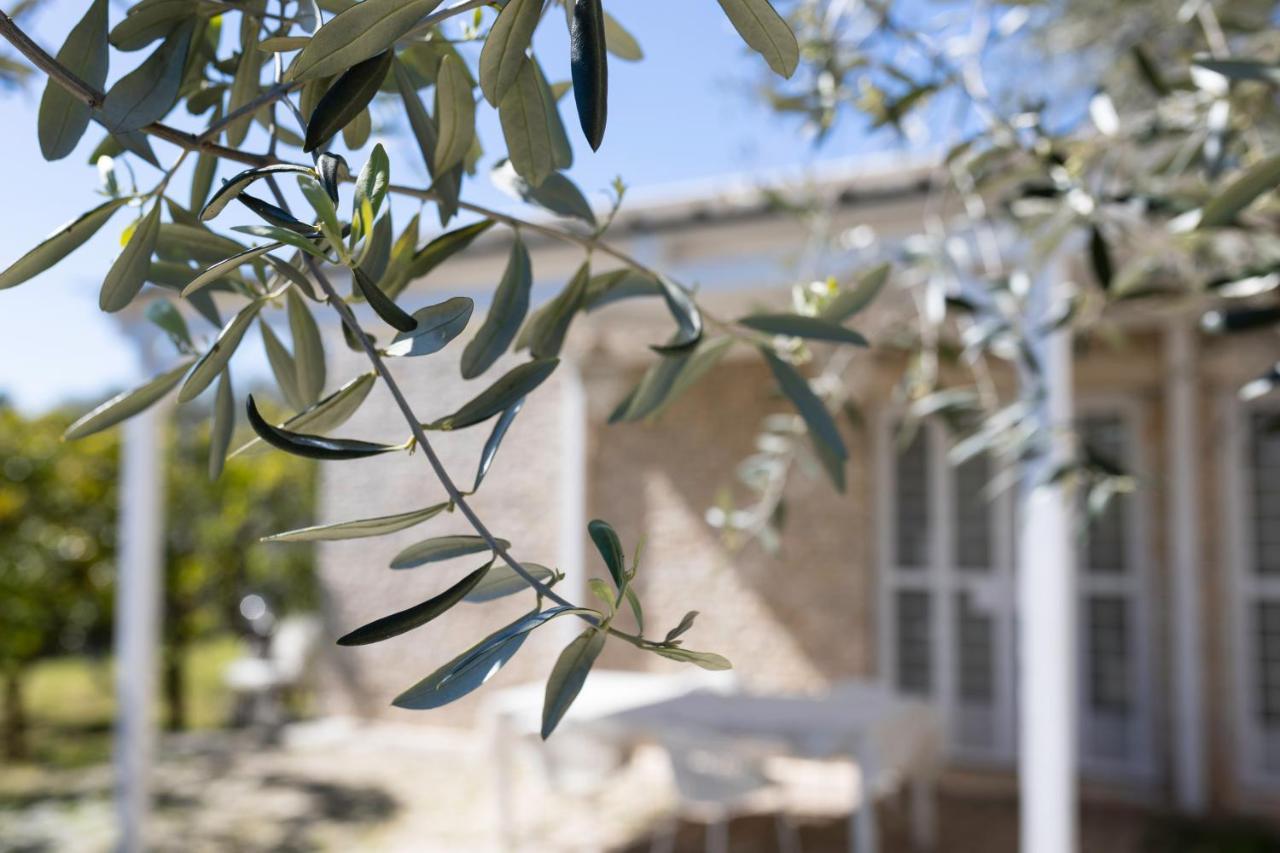 B&B Samarelle - Exclusive Villa With Garden And Panoramic Terrace - Molfetta Exterior photo